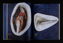 Load image into Gallery viewer, Stefan Reiterer