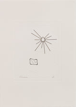 Load image into Gallery viewer, Constantin Luser