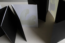 Load image into Gallery viewer, Daniel Lergon