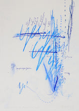 Load image into Gallery viewer, Nikolaus Gansterer