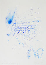 Load image into Gallery viewer, Nikolaus Gansterer