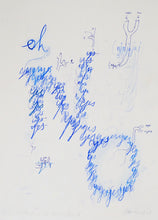 Load image into Gallery viewer, Nikolaus Gansterer