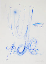 Load image into Gallery viewer, Nikolaus Gansterer