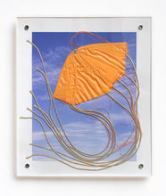 Load image into Gallery viewer, Tomas Kleiner